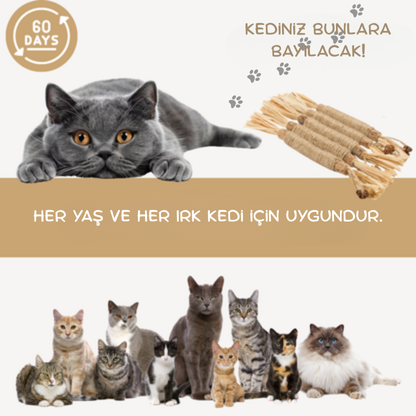 KEDİCO™ Doğal Matatabi Çubuğu