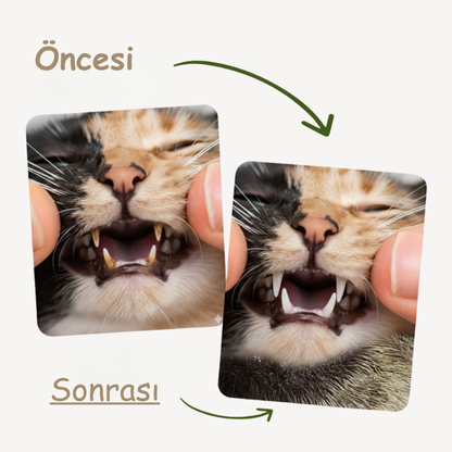 KEDİCO™ Doğal Matatabi Çubuğu