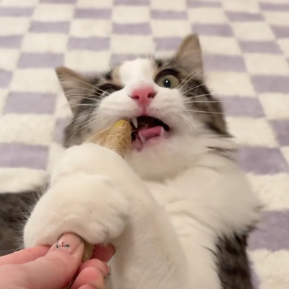 KEDİCO™ Doğal Matatabi Çubuğu